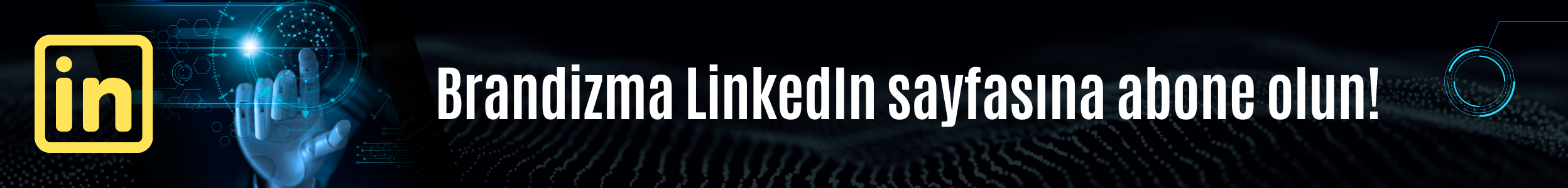 Brandizma Linkedin